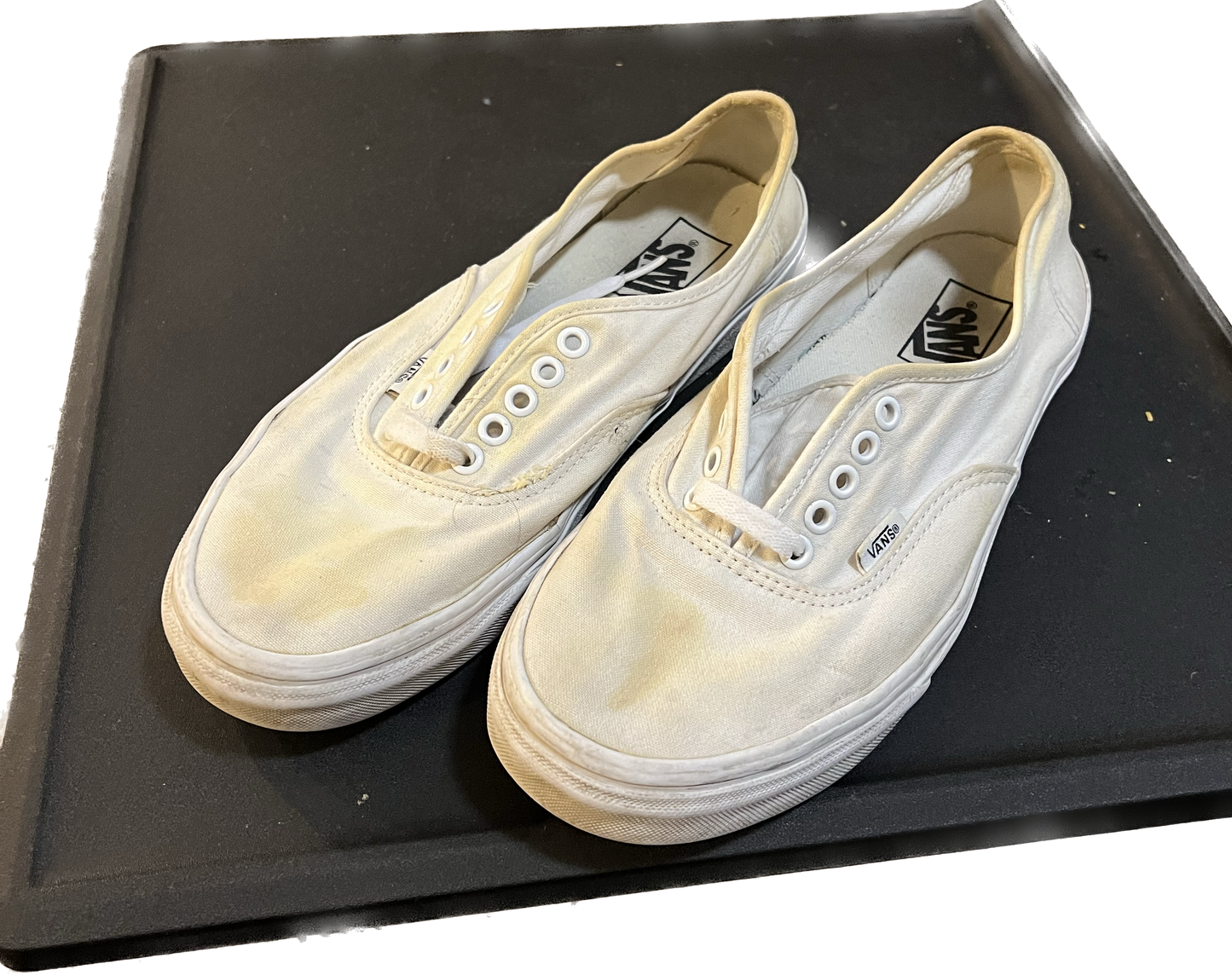 Vans Authentic "White"