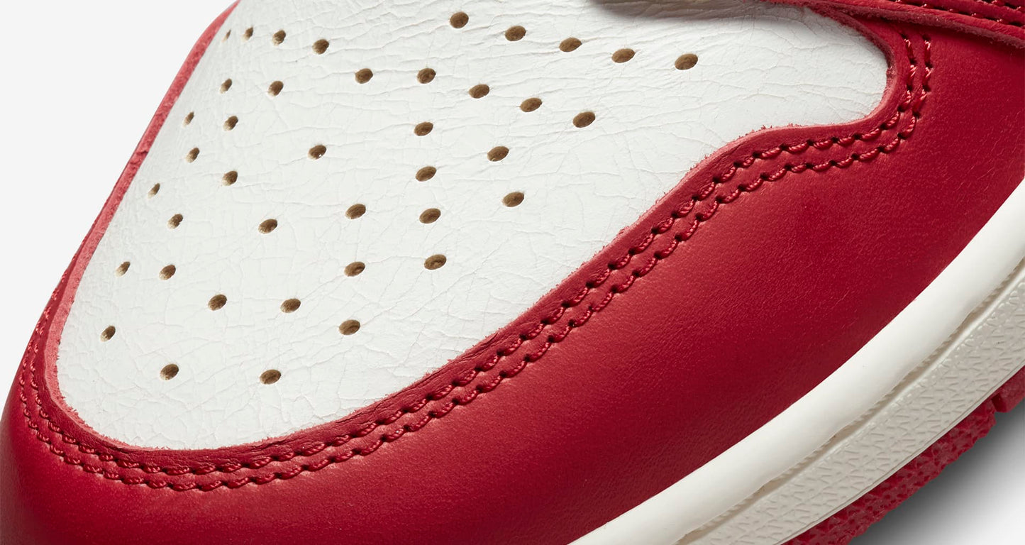 Air Jordan 1 "Lost and Found"